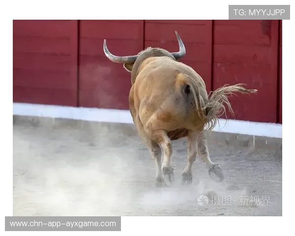 公牛勇敢迈步：提升年轻人上场时间开启新篇章